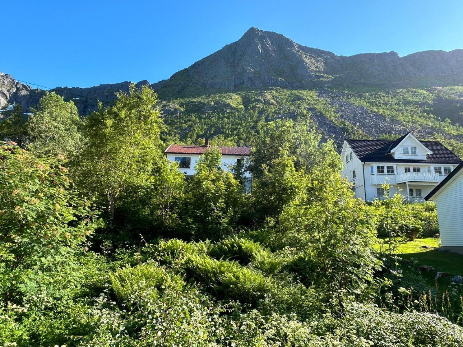 Gryllefjord Ferrytale, Cozy, Spacious House On Senja מראה חיצוני תמונה